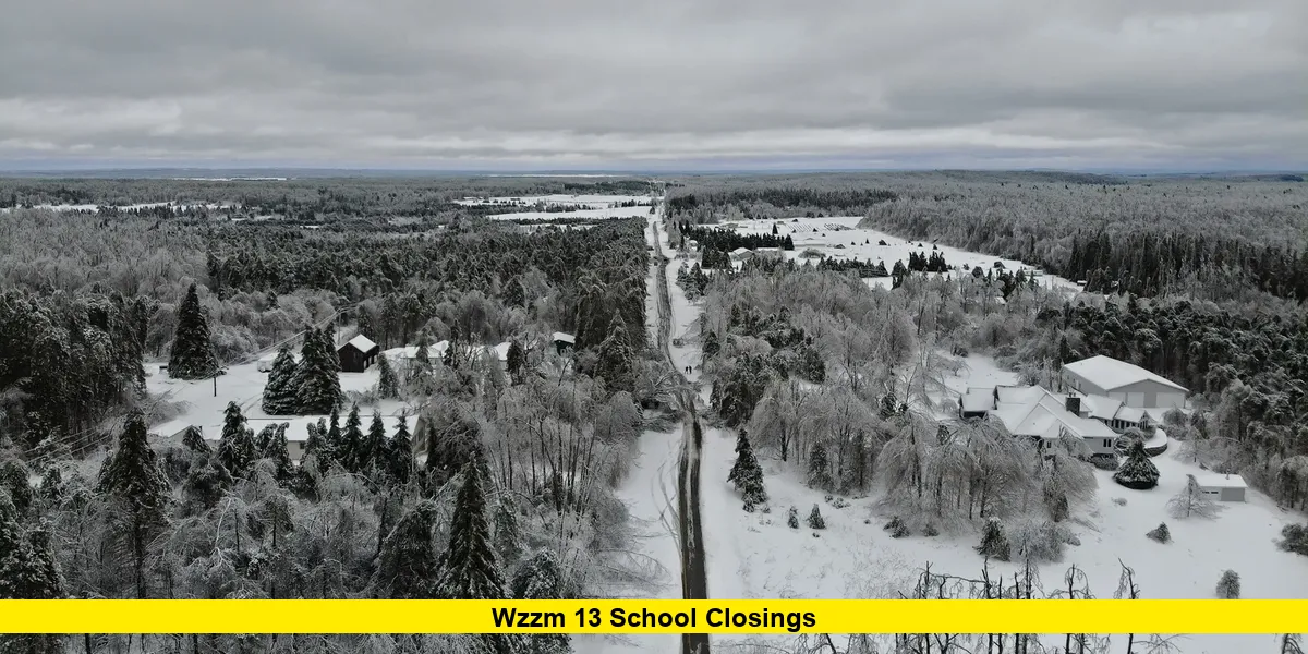 WZZM 13 School Closings